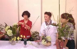 Lễ hội Fukushima 2013 chắp cánh hữu nghị Việt - Nhật