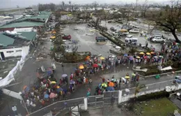 Người dân Philippines vật lộn sau bão Haiyan