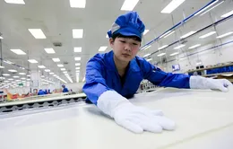 PMI sản xuất tháng 11 của Trung Quốc giảm