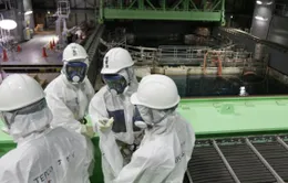 Nhật tháo dỡ các thanh nhiên liệu Fukushima