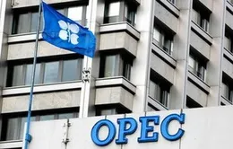 OPEC giữ mục tiêu sản lượng 30 triệu thùng dầu/ngày