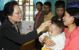 Phó Chủ tịch nước thăm nhân dân vũng bị thiệt hại do bão tại Quảng Trị