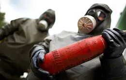 OPCW: Quá trình tiêu hủy vũ khí của Syria vẫn đúng kế hoạch
