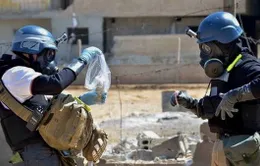 OPCW họp về tiêu hủy vũ khí hóa học Syria