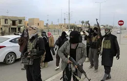 Quân đội Iraq nỗ lực đánh bật các phần tử al-Qaeda