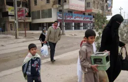 Iraq: Người dân sơ tán khỏi Fallujah và Ramadi