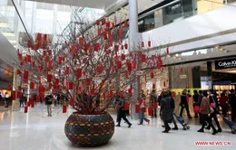 Hong Kong rộn ràng chuẩn bị Tết Nguyên đán