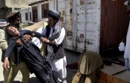 LHQ: Số thường dân Afghanistan thiệt mạng tăng 14% trong năm 2013