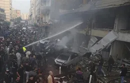 Lebanon: Nổ bom xe làm 8 người thiệt mạng
