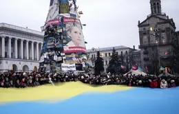 Ukraine khởi động chiến dịch bầu cử Tổng thống