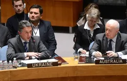 Hội đồng Bảo an LHQ họp về tình hình Ukraine