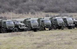 Ukraine chưa tính tới giải pháp quân sự với Nga