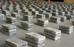 Thái Lan bắt kẻ buôn lậu hơn 300kg ma túy
