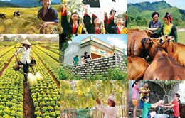 Bác bỏ tin chi 3,5 tỷ USD cho bộ máy thực hiện giảm nghèo