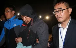 Toàn bộ thành viên tổ lái phà Sewol bị bắt giữ