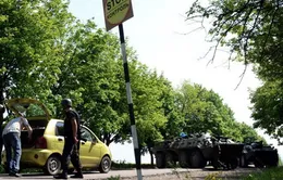 OSCE lo ngại bất ổn sẽ phá hoại cuộc bầu cử Tổng thống Ukraine