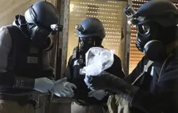 11 nhân viên Tổ chức cấm vũ khí hóa học bị bắt cóc ở Syria