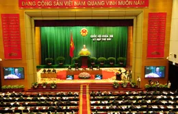 Quốc hội bổ sung dự án Luật biểu tình trong chương trình xây dựng Luật, Pháp lệnh