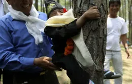 Nepal: Hơn 2.000 người ôm cây để thiết lập kỷ lục thế giới