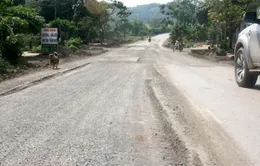 Các nhà khoa học lý giải nguyên nhân gây sụt lún mặt đường