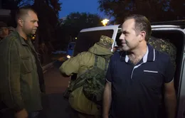 Ukraine: Lực lượng chống Chính phủ trả tự do cho quan sát viên OSCE