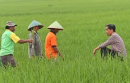 Người dân Indonesia đặt hy vọng vào ông Widodo