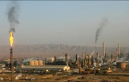 Người dân Iraq thiếu nhiên liệu trầm trọng