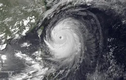 Nhật Bản: Bão Neoguri tàn phá Okinawa