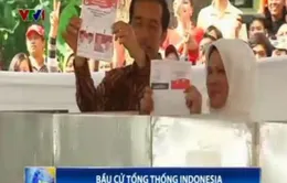 Lượng cử tri đi bỏ phiếu bầu Tổng thống Indonesia tăng đột biến