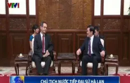 Chủ tịch nước tiếp Đại sứ Hà Lan