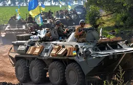 Ukraine cáo buộc Nga bắn hạ máy bay