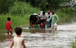 Bão Rammasun gây thiệt hại lớn tại Philippines