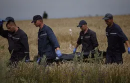 Ukraine: Họp báo về việc di chuyển nạn nhân vụ rơi máy bay MH17