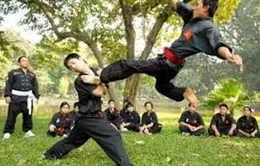 Liên hoan Quốc tế Võ cổ truyền Việt Nam lần thứ V
