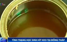 Nguy hiểm tình trạng thanh niên đua nhau hít keo ở Đồng Tháp