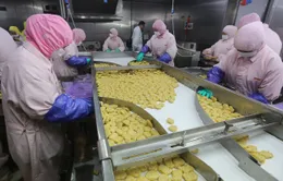 Thêm một vụ bê bối an toàn thực phẩm liên quan đến công ty nước ngoài tại Trung Quốc