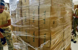 Mỹ điều thêm 130 cố vấn quân sự tới miền Bắc Iraq