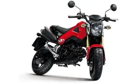 Honda MSX125 – Ra mắt tại Thái Lan, có thể đến Việt Nam