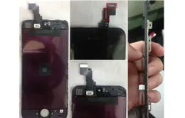 Rò rỉ ảnh màn hình của iPhone 5S?