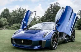 Những hình ảnh đẹp nhất tại Wilton Classic & Supercars 2013