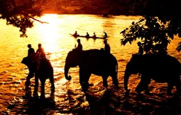 Buổi sáng đầu tiên: Du lịch Tây Nguyên - Tiếng gọi từ đại ngàn