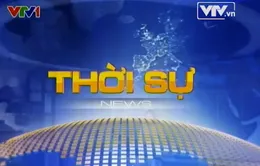 Bản tin Thời sự 12h ngày 15/02/2014
