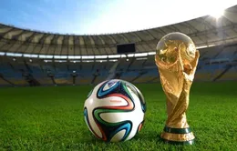 Bản quyền World Cup 2014: Coi chừng dính bẫy!