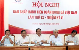"Người trong cuộc" mong đợi gì từ Đại hội VFF khoá VII?