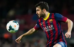 Pique làm lộ chuyện "cơ mật": Fabregas chắc chắn rời Barca với mức giá 33 triệu Euro