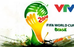 VTV khóa mã tín hiệu vệ tinh, chống "tràn sóng" World Cup 2014 