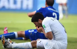 Tin chuyển nhượng 02/7: Nhà cái tin Barcelona sẽ có Suarez 