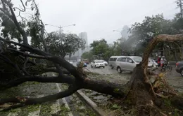Người dân Philippines gồng mình trước siêu bão Rammasun