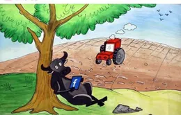 Sắc màu vui nhộn: Bí mật được... bật mí!