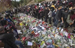 Hoa và nến tràn ngập nơi Paul Walker tử nạn